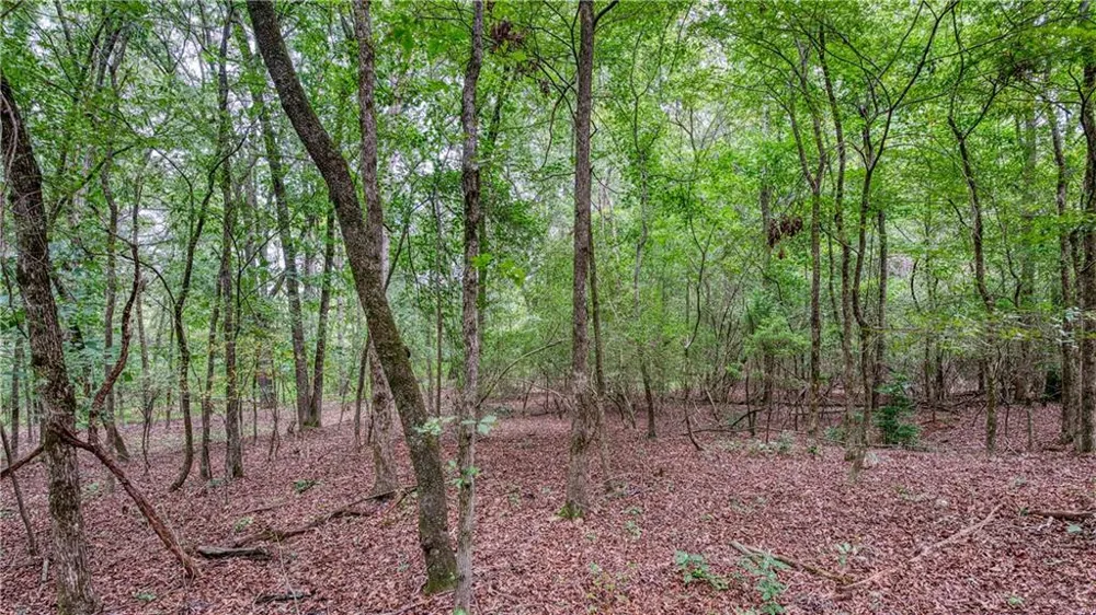 140 Levi Trail Nicholson, GA 30565