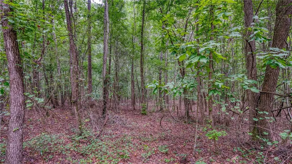 140 Levi Trail Nicholson, GA 30565