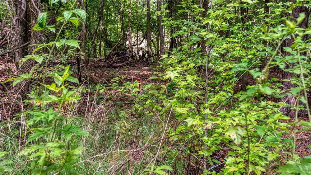 140 Levi Trail Nicholson, GA 30565