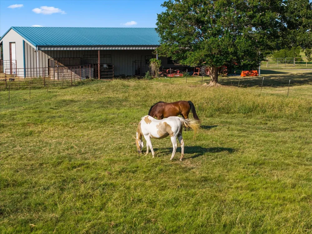 351 Rs County Road 3378 Emory, TX 75440