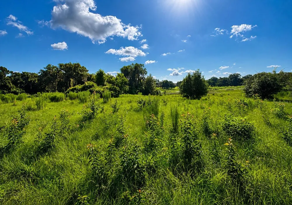 8806 E SWEETWATER DRIVE Inverness, FL 34450