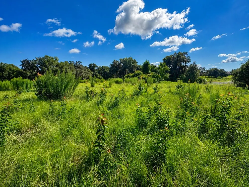 8806 E SWEETWATER DRIVE Inverness, FL 34450
