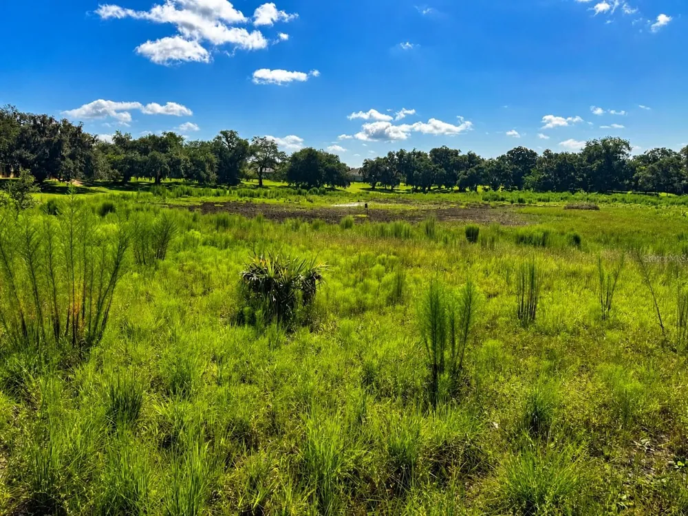 8806 E SWEETWATER DRIVE Inverness, FL 34450