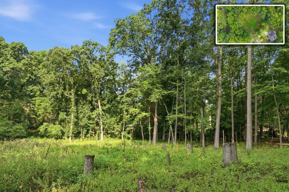 1532 Stonehaven Road Ann Arbor, MI 48104