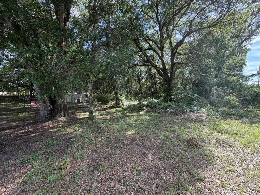 3920 E ALLENDALE STREET Inverness, FL 34453