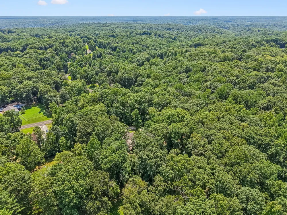 1004 Johnston Dr White Bluff, TN 37187