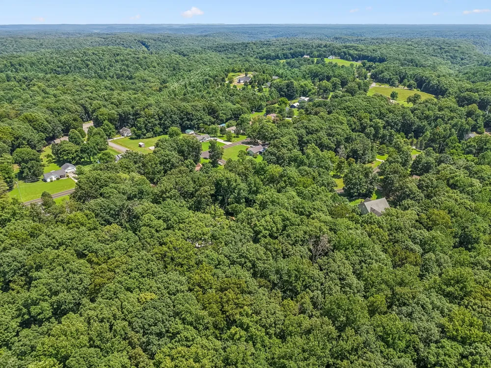 1004 Johnston Dr White Bluff, TN 37187
