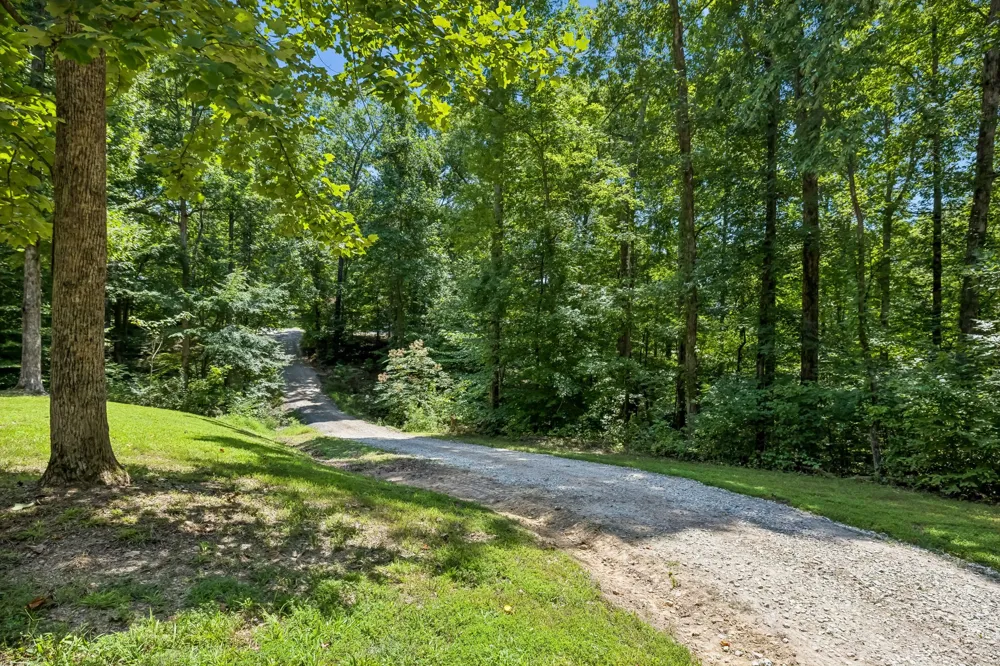 1004 Johnston Dr White Bluff, TN 37187