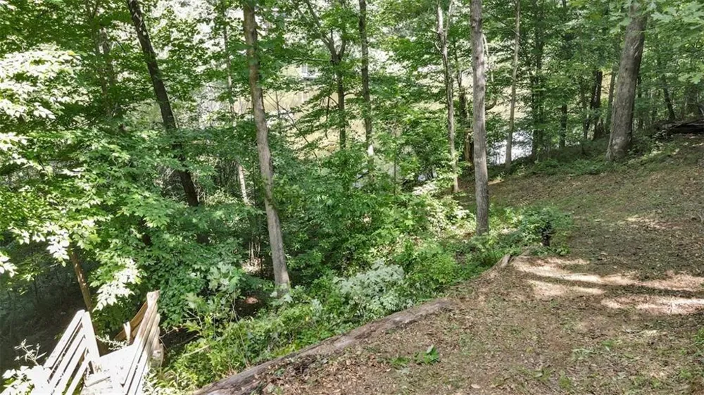 126 Silver Fox Drive Dawsonville, GA 30534