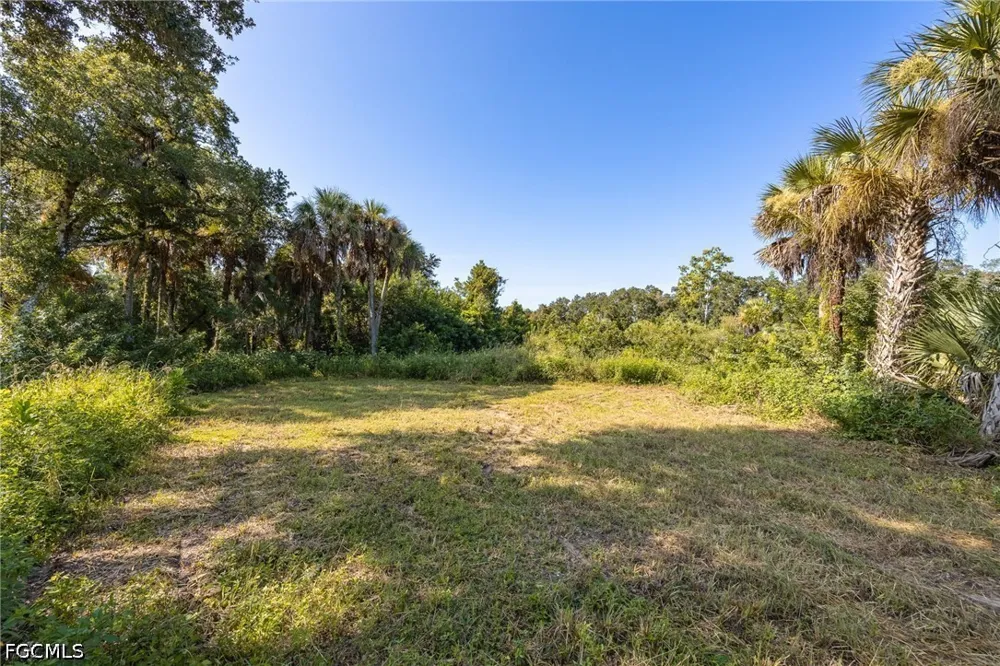 Fox Run Road Alva, FL 33920