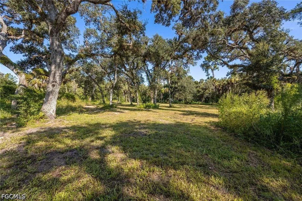 Fox Run Road Alva, FL 33920