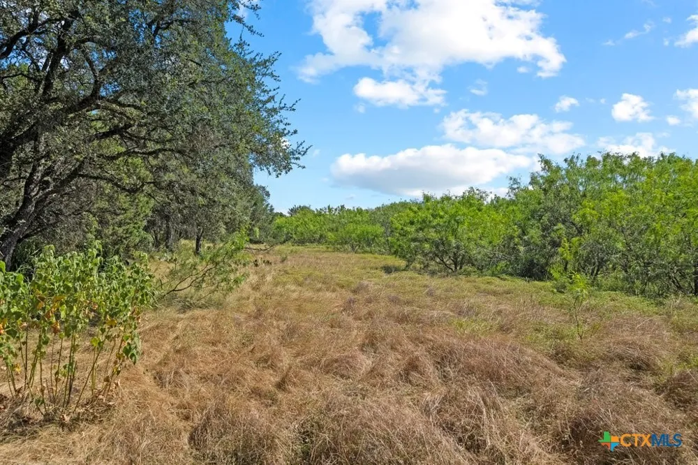 831 Ayers Rock Road New Braunfels, TX 78132