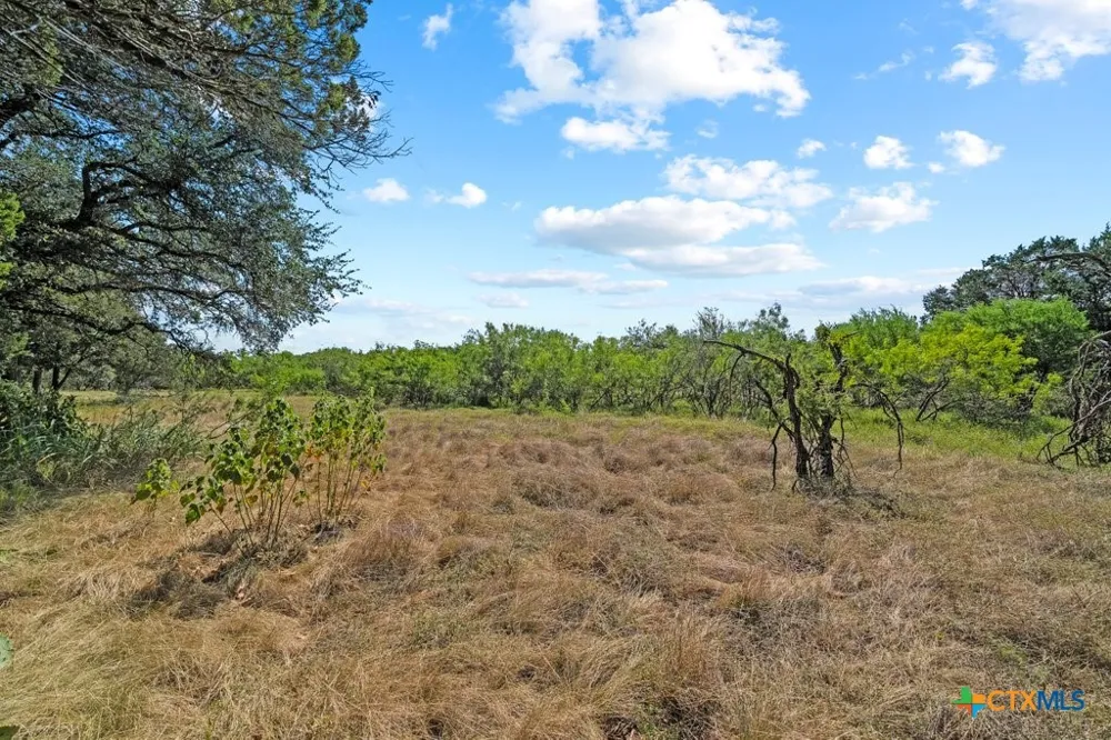 831 Ayers Rock Road New Braunfels, TX 78132