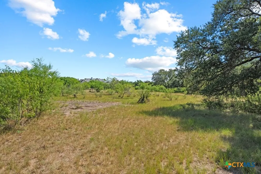 831 Ayers Rock Road New Braunfels, TX 78132