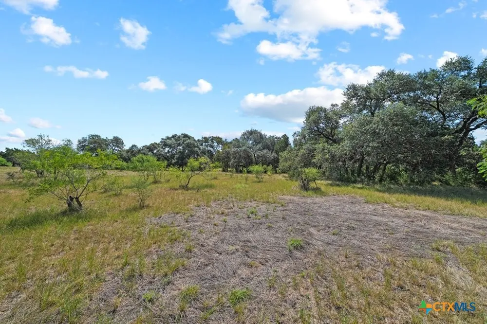 831 Ayers Rock Road New Braunfels, TX 78132