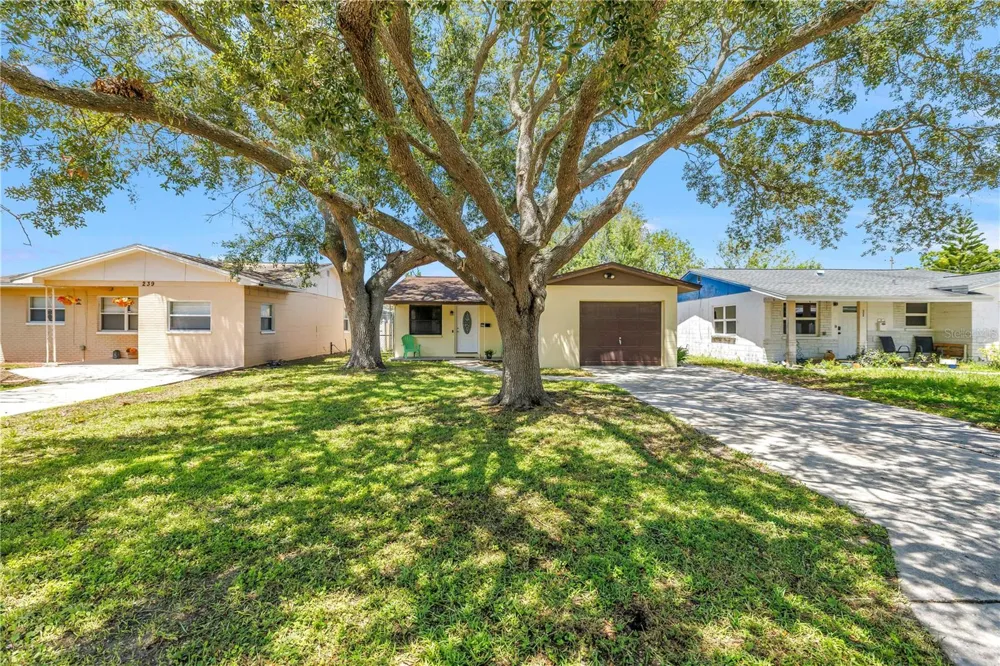 231 93RD AVENUE St Petersburg, FL 33702