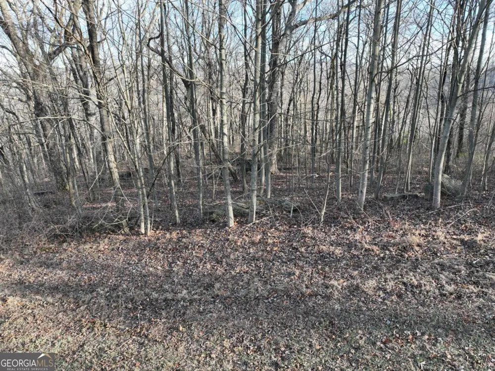 275 Andes RDG Ellijay, GA 30536
