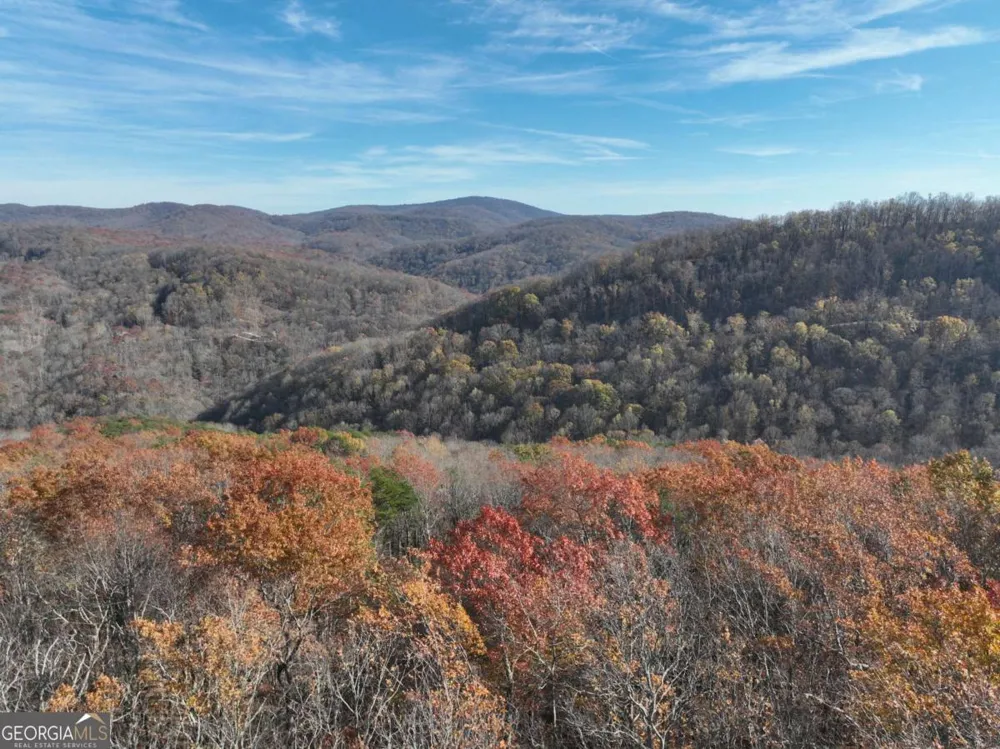 275 Andes RDG Ellijay, GA 30536