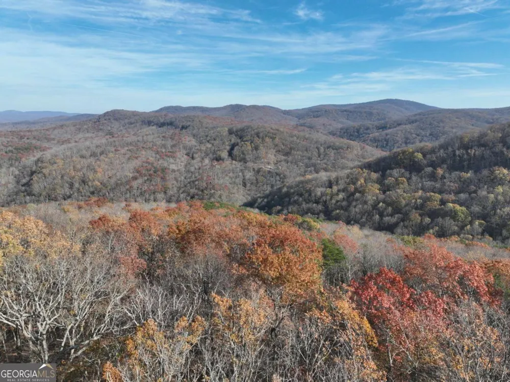 275 Andes RDG Ellijay, GA 30536