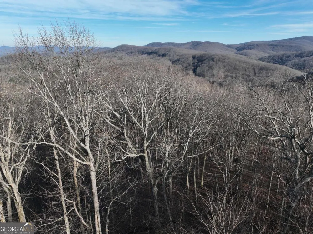 275 Andes RDG Ellijay, GA 30536