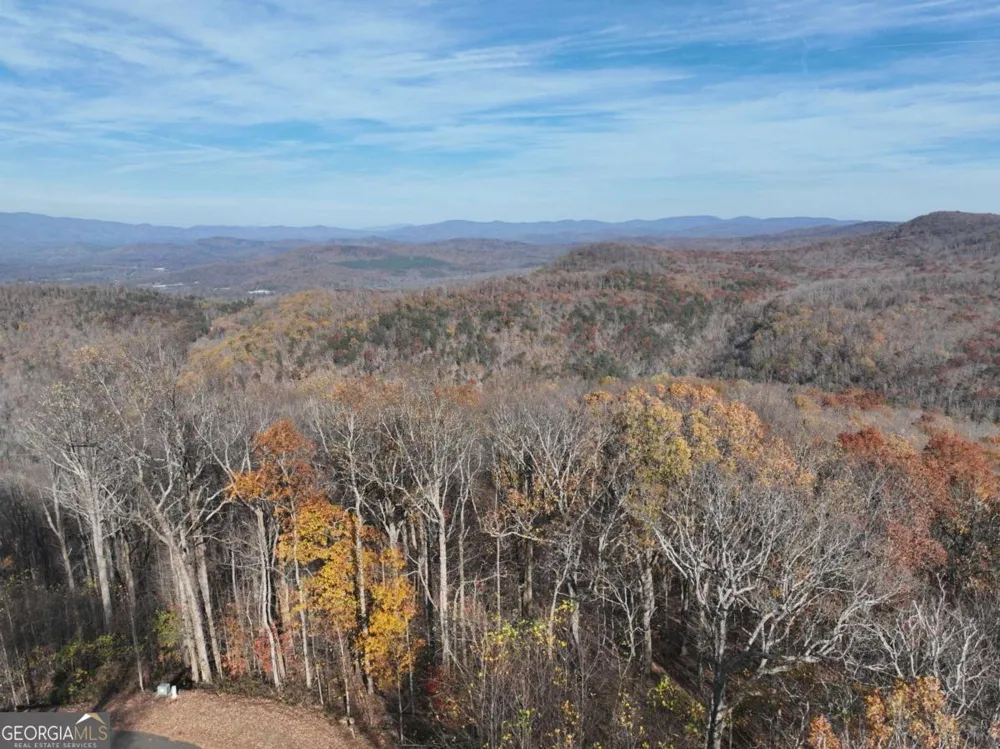 275 Andes RDG Ellijay, GA 30536