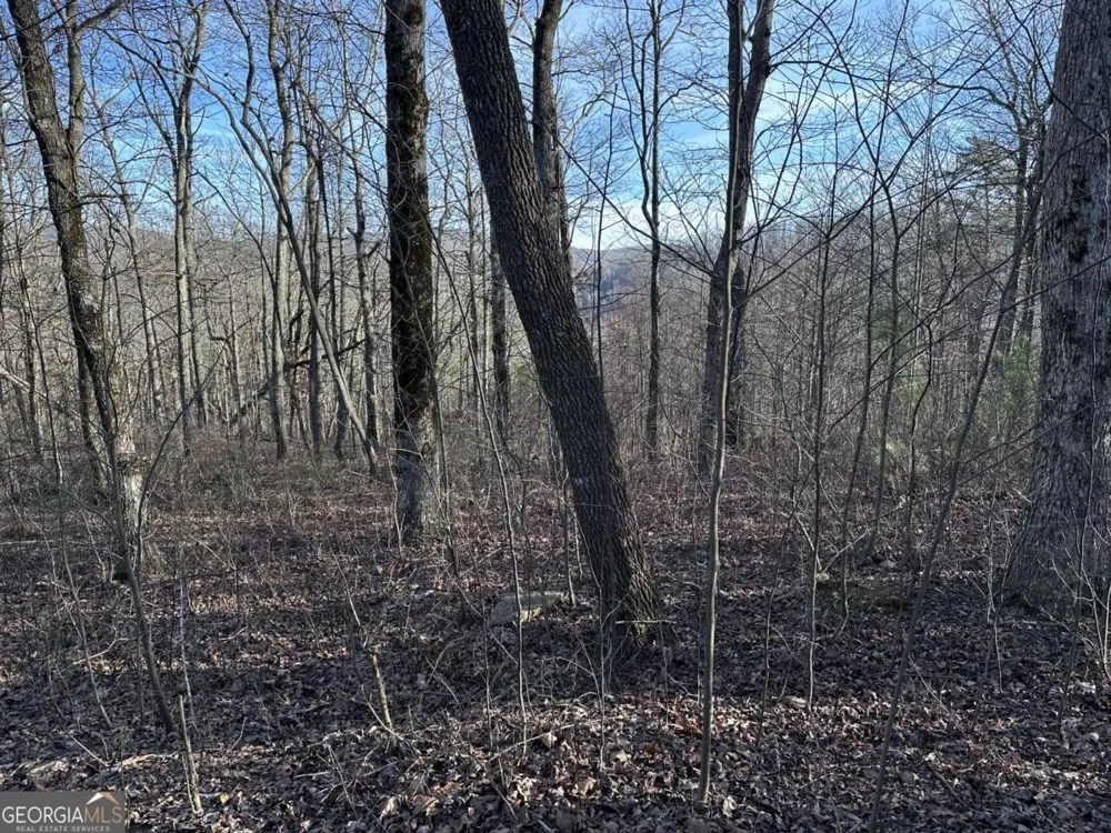 275 Andes RDG Ellijay, GA 30536