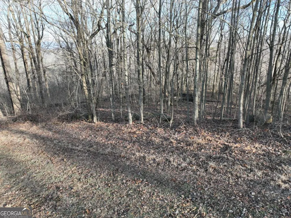 275 Andes RDG Ellijay, GA 30536