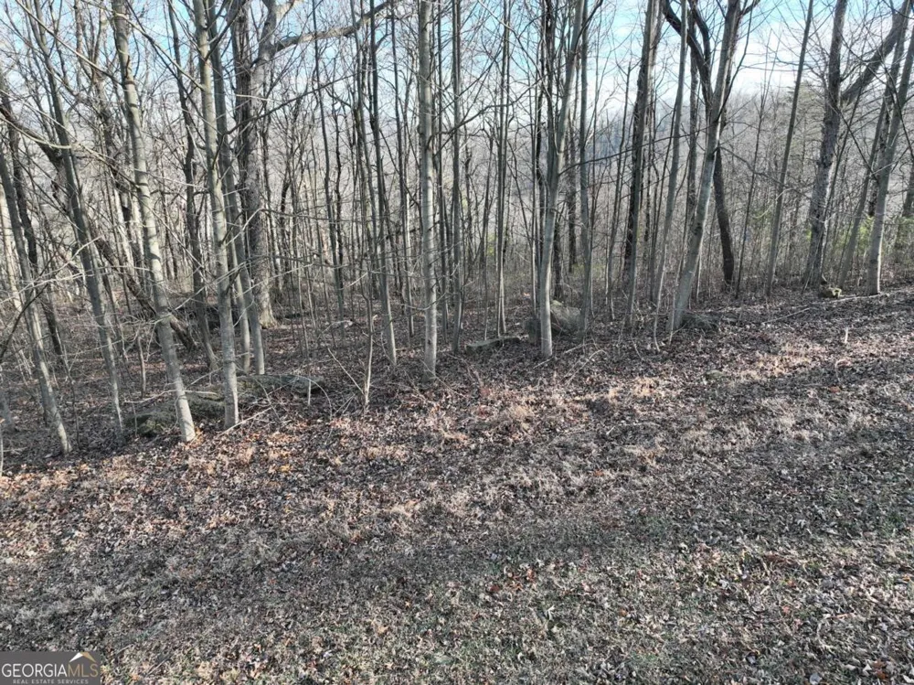 275 Andes RDG Ellijay, GA 30536
