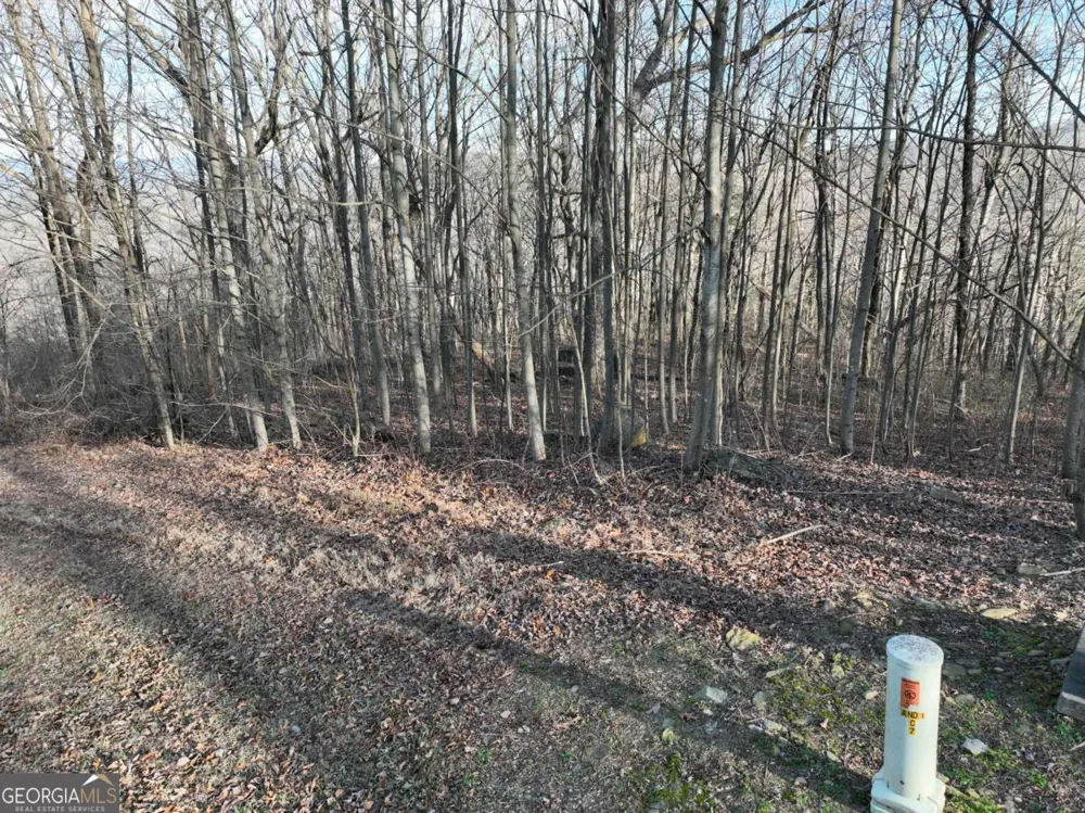 275 Andes RDG Ellijay, GA 30536