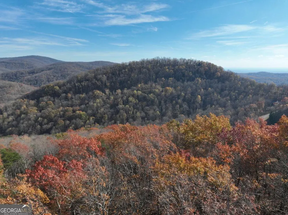 275 Andes RDG Ellijay, GA 30536
