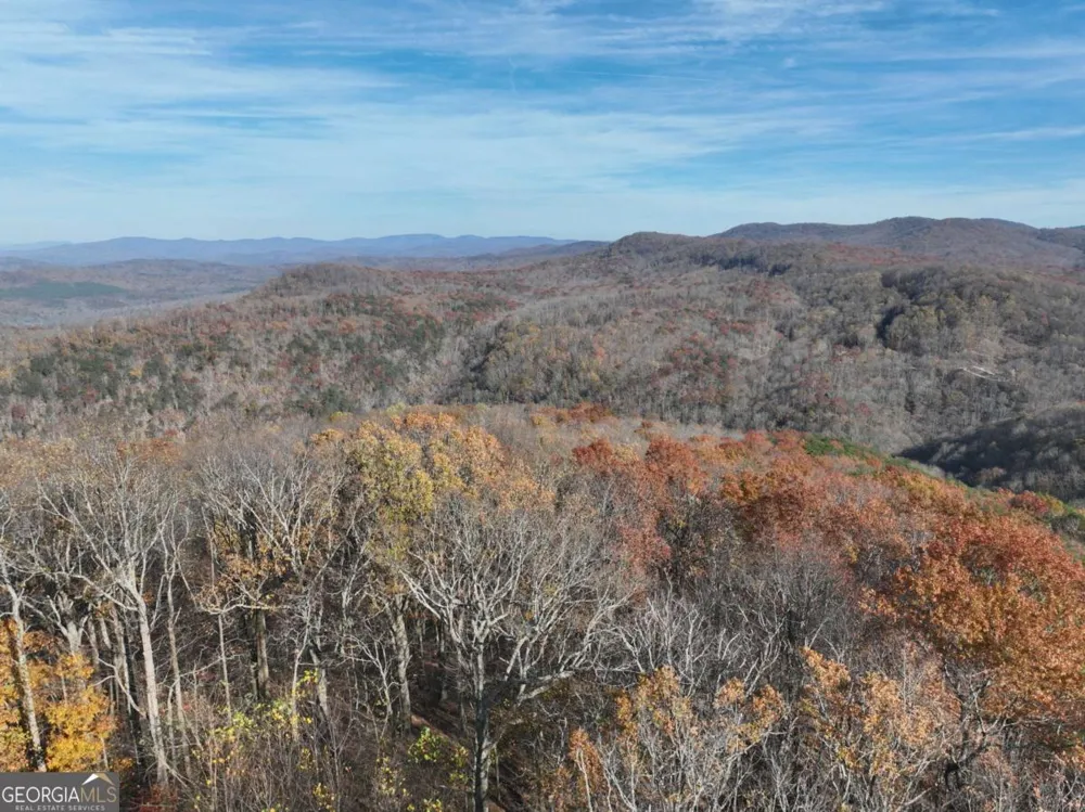 275 Andes RDG Ellijay, GA 30536