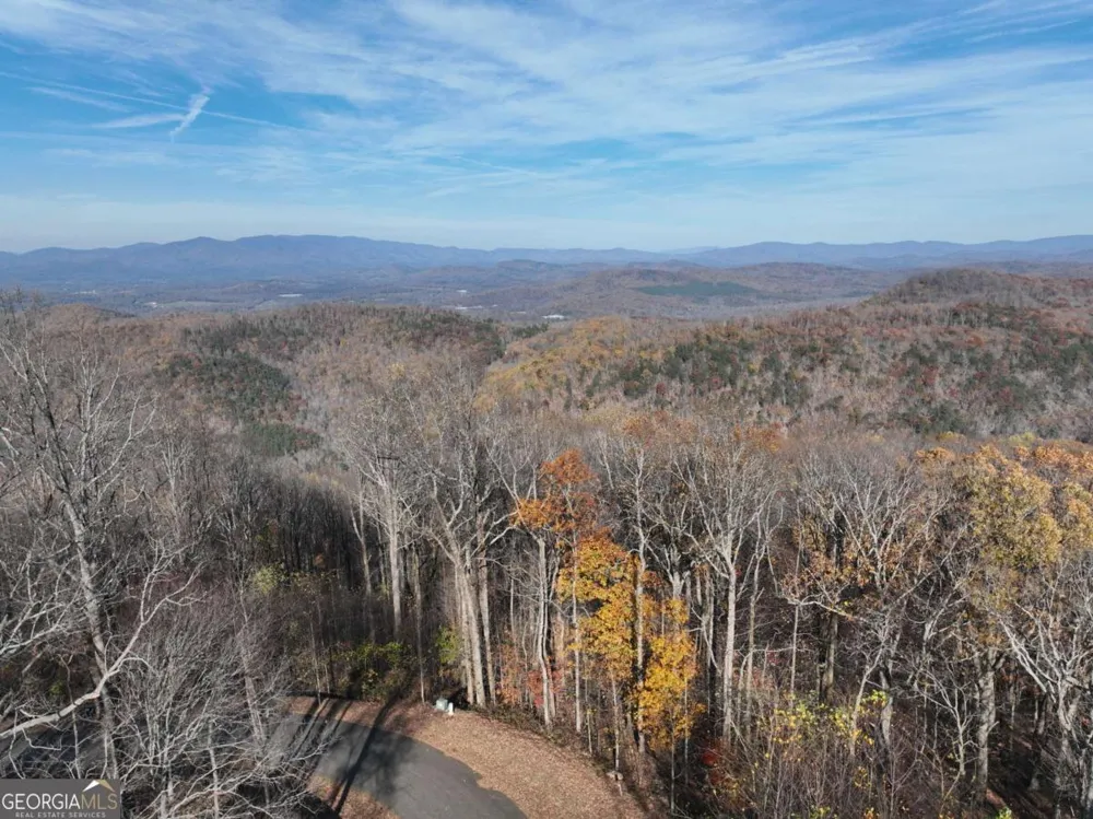 275 Andes RDG Ellijay, GA 30536