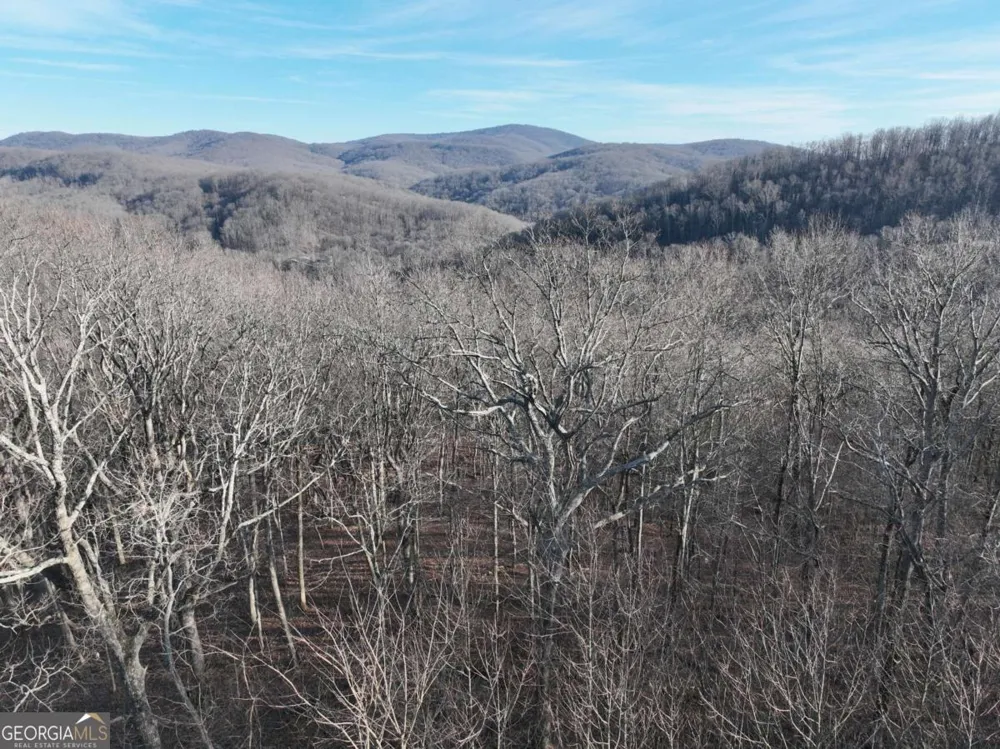 275 Andes RDG Ellijay, GA 30536