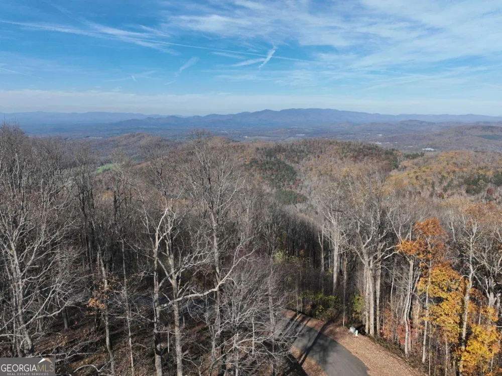 275 Andes RDG Ellijay, GA 30536