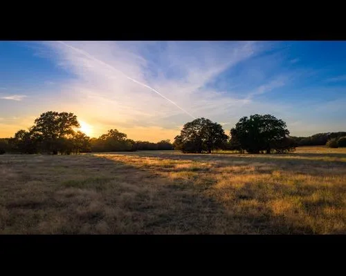 1210 County Road 232 Collinsville, TX 76233