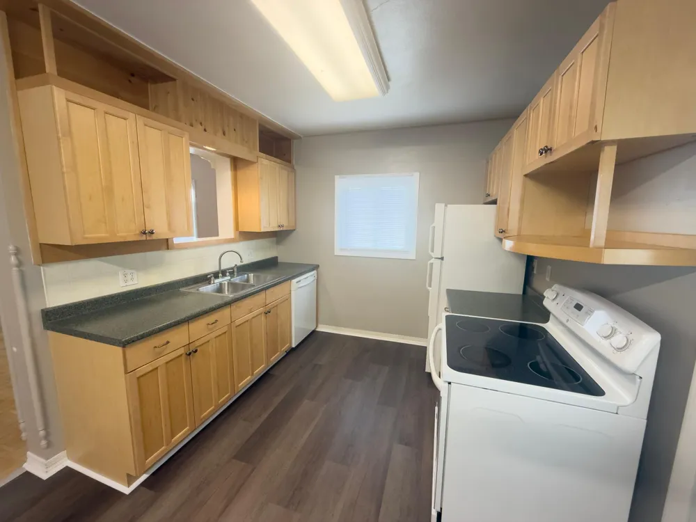 228 Aspen Avenue SE Menahga, MN 56464