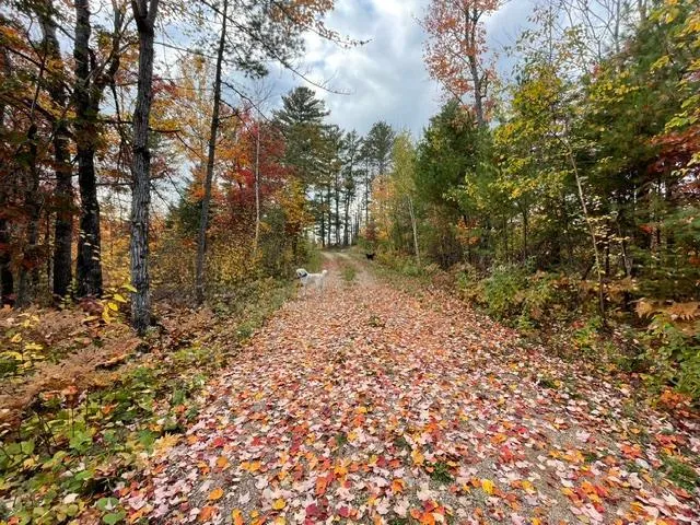 9014 Ban Lake Spur Orr, MN 55771