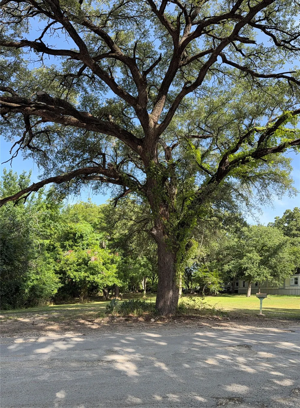 313 Cage Street Hamilton, TX 76531
