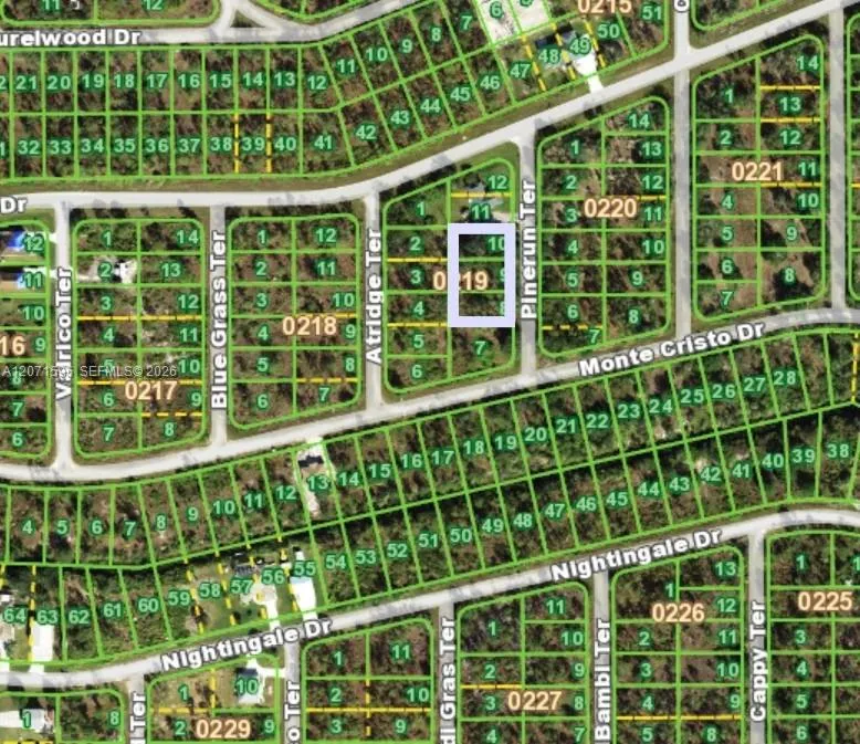 13263 Pinerun Terrace Punta Gorda, FL 33955