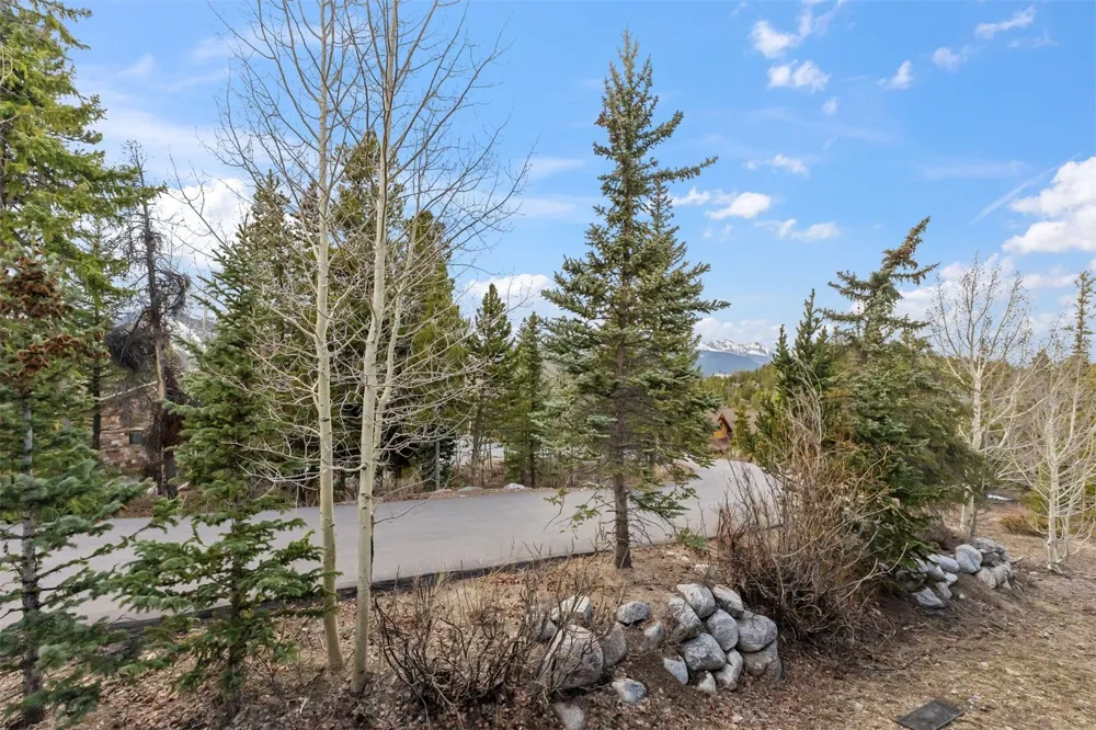 53 Atlantic Lode Road #53 Breckenridge, CO 80424