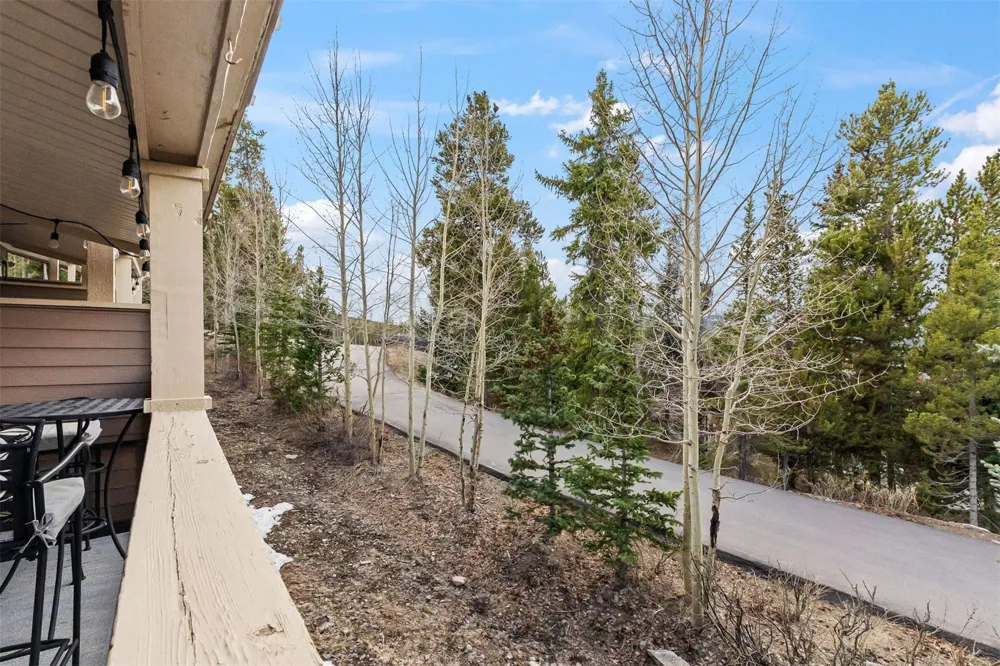 53 Atlantic Lode Road #53 Breckenridge, CO 80424
