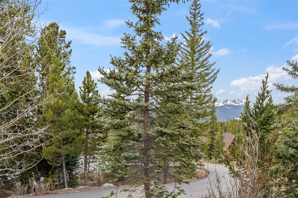 53 Atlantic Lode Road #53 Breckenridge, CO 80424