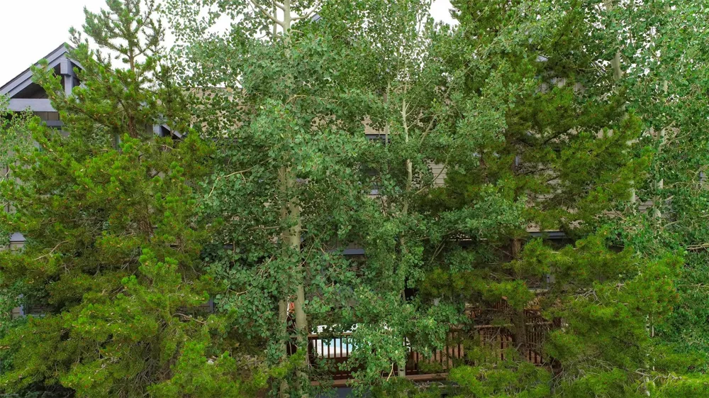 70 Oak Lane #70 Breckenridge, CO 80424
