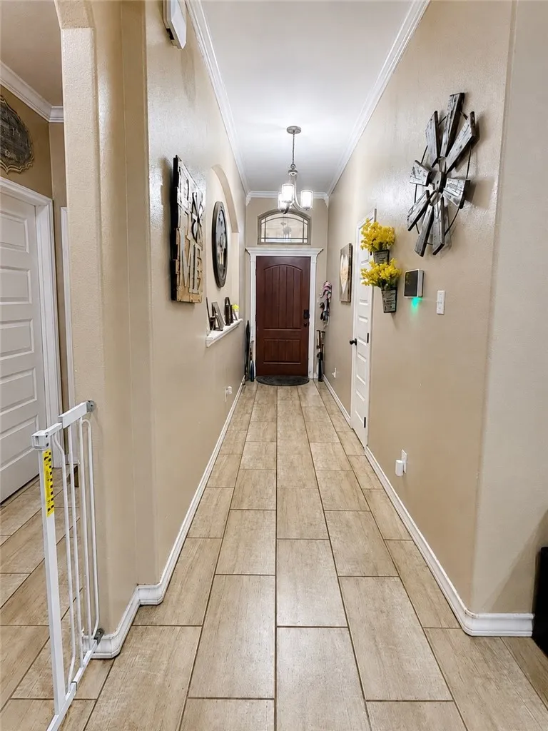14205 Kruip Court Robstown, TX 78380