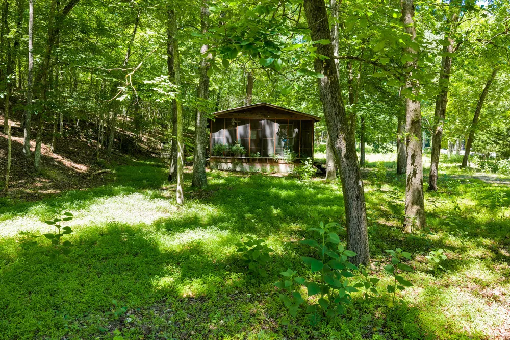 16129 Lakewood Drive Sale Creek, TN 37373