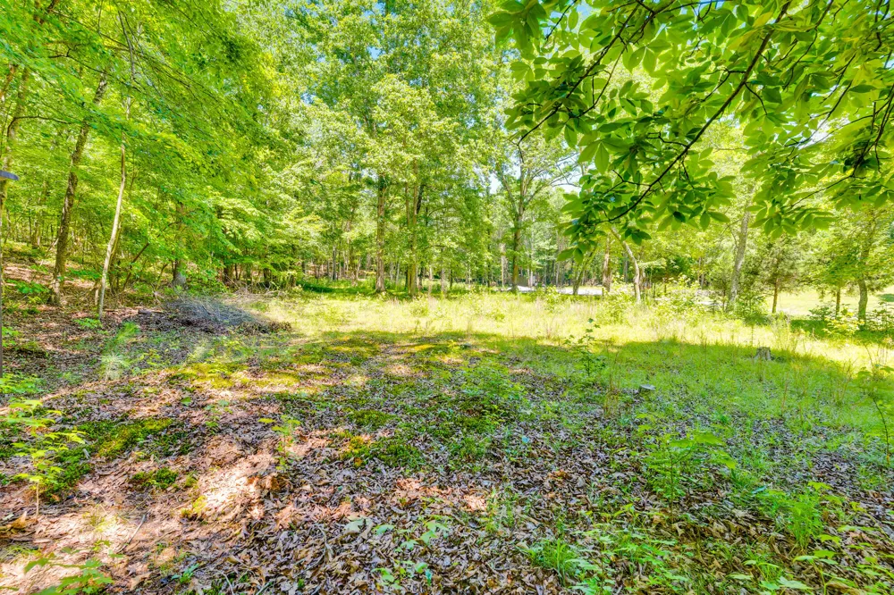 16129 Lakewood Drive Sale Creek, TN 37373