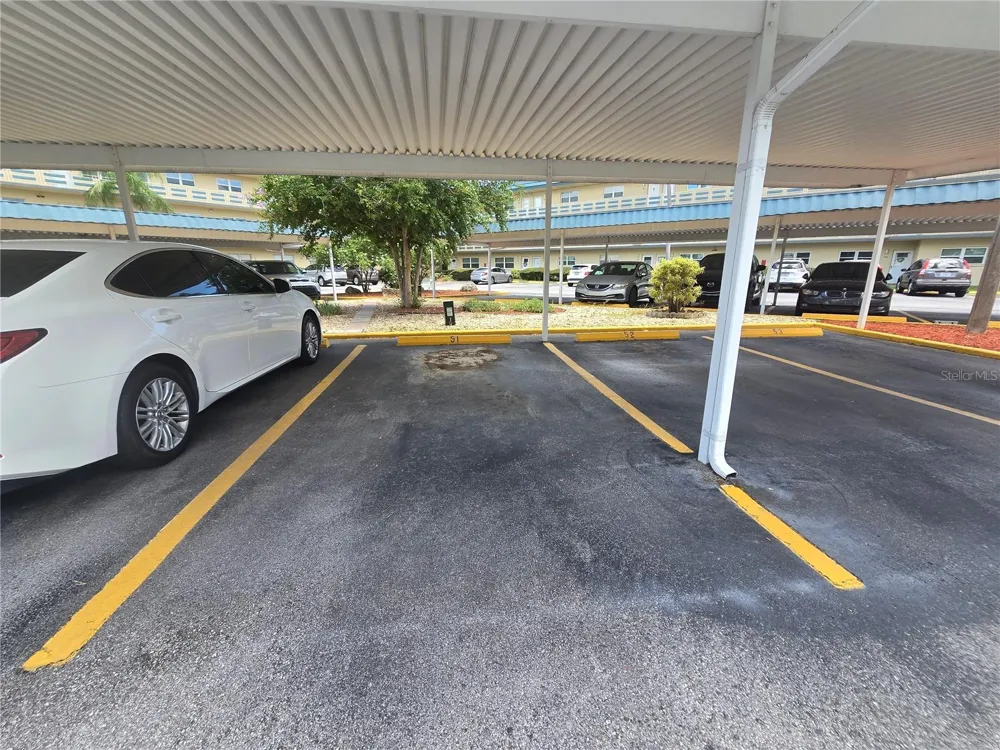 5750 80TH STREET #B206 St Petersburg, FL 33709