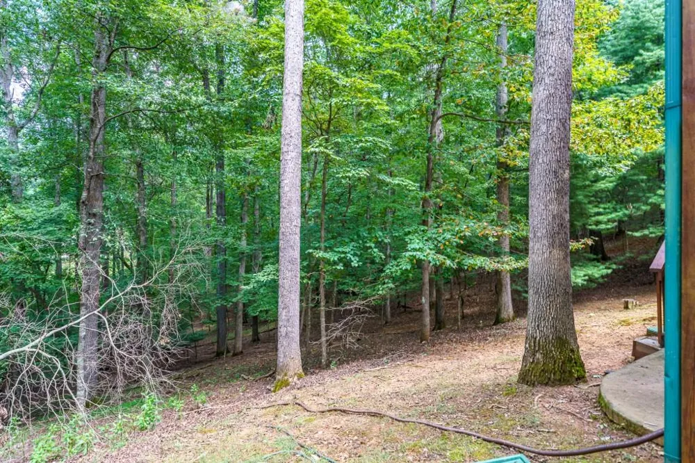 114 Rockingham Way Ellijay, GA 30540