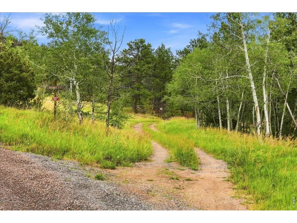 78 Wenro Court Red Feather Lakes, CO 80545