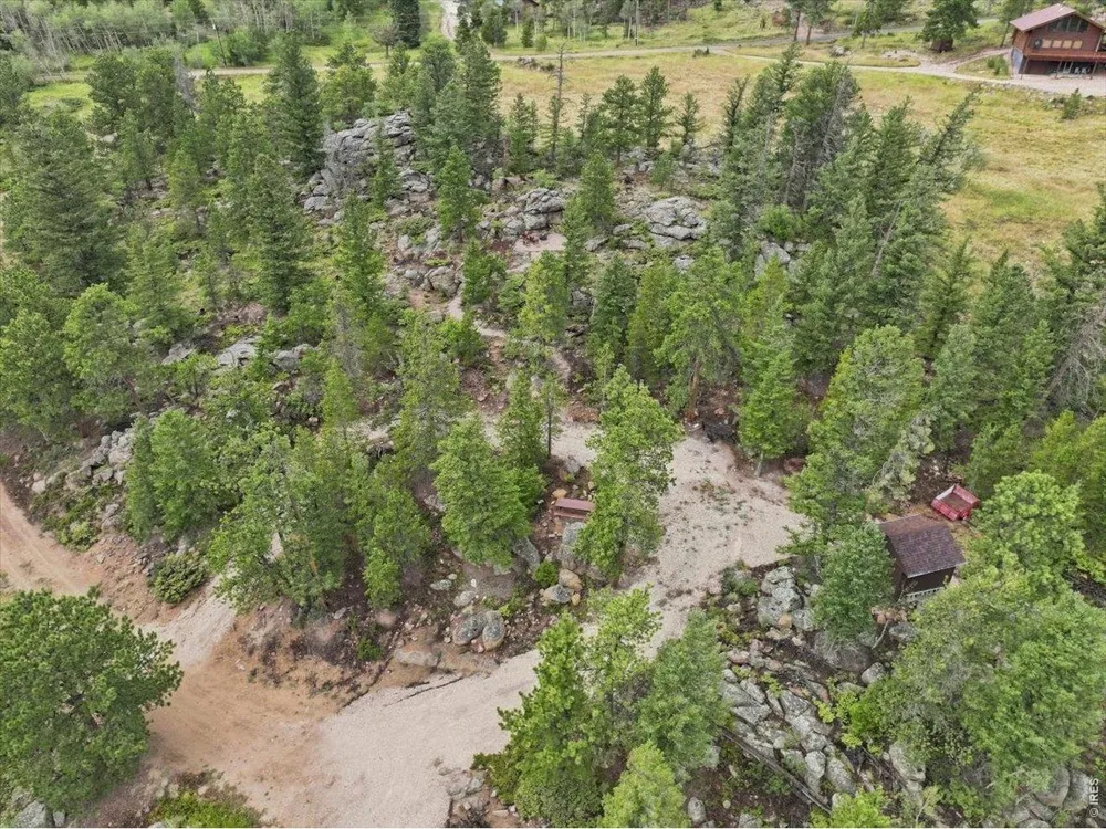 78 Wenro Court Red Feather Lakes, CO 80545